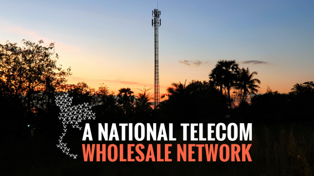 Research Report A National Telecom Wholesale Network