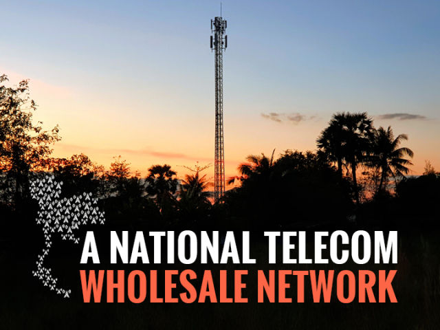 Research Report A National Telecom Wholesale Network