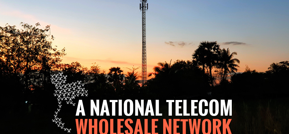 Research Report A National Telecom Wholesale Network