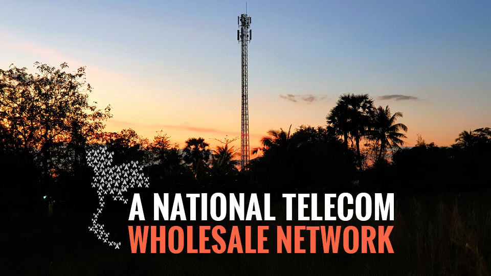 Research Report A National Telecom Wholesale Network