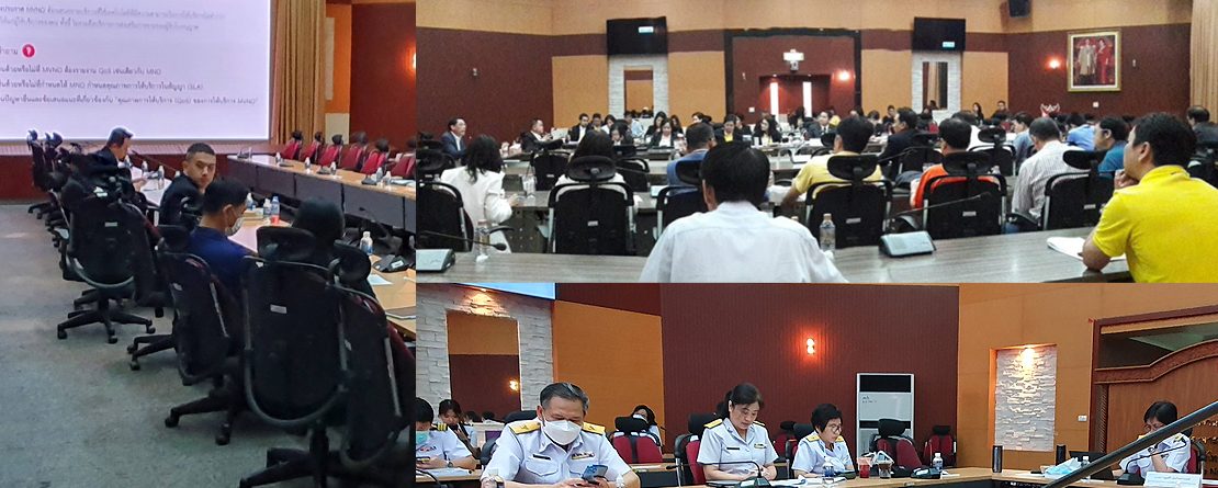 Thailand's MVNO Crisis
